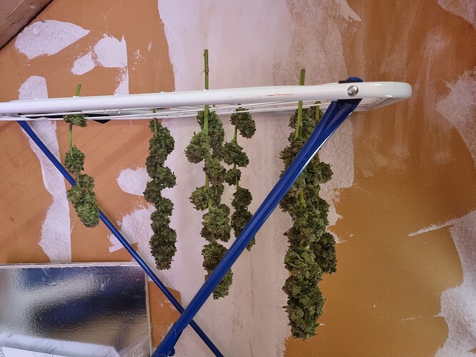 Growreport Bild 13