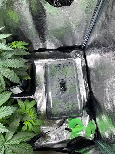 Growreport Bild 17