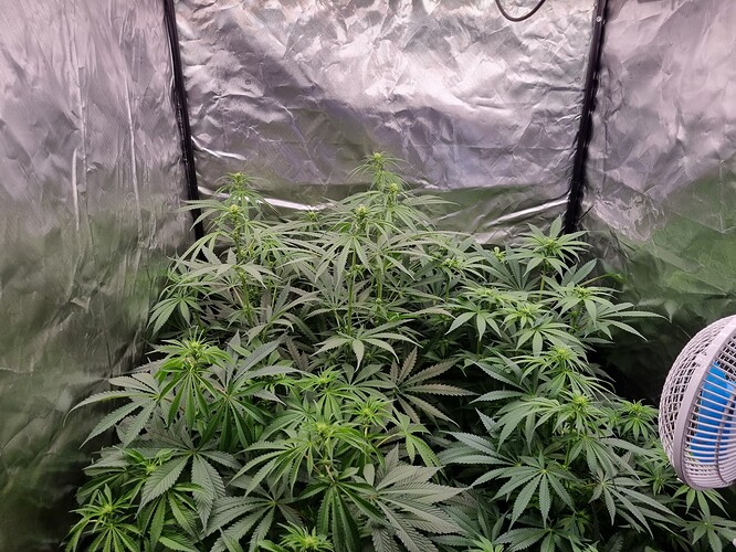 Growreport Bild 28