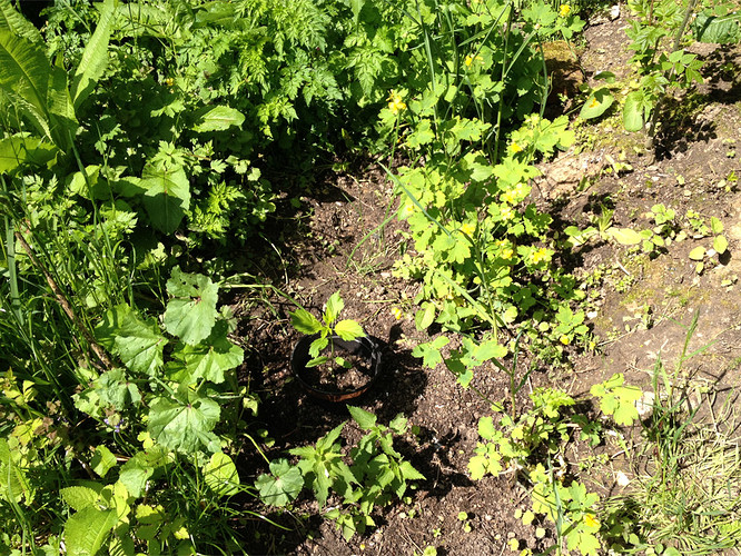Growreport Bild 10