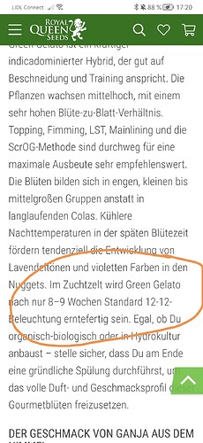 Growreport Bild 27