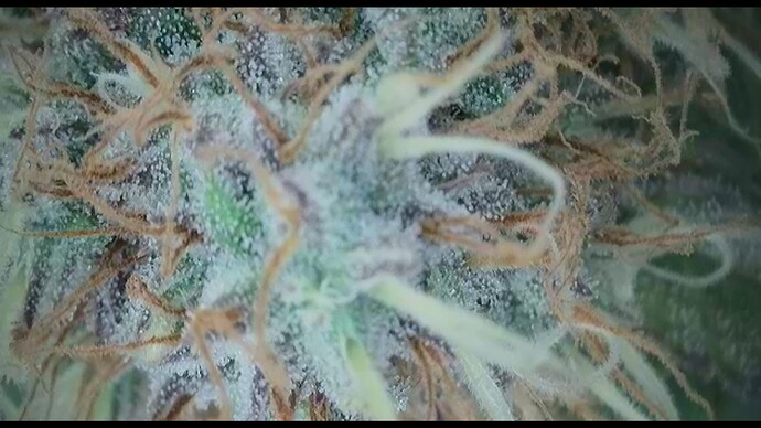 2022-06-10-172912689