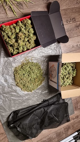 Growreport Bild 22