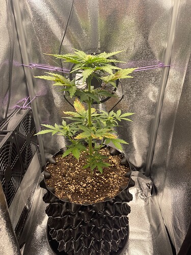 Growreport Bild 3