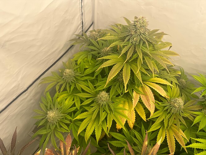 Growreport Bild 13