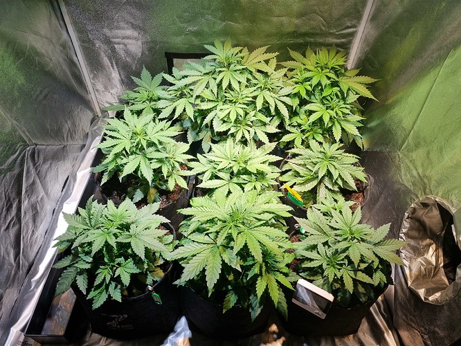 Growreport Bild 2