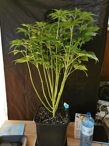 Growreport Bild 10