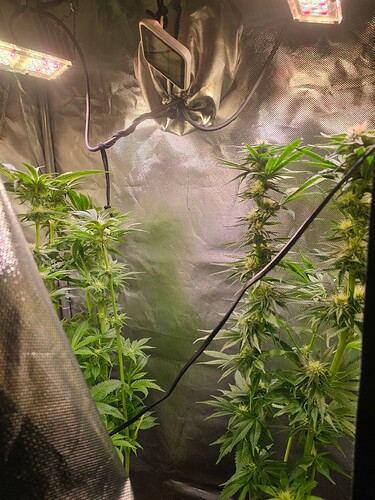 Growreport Bild 15