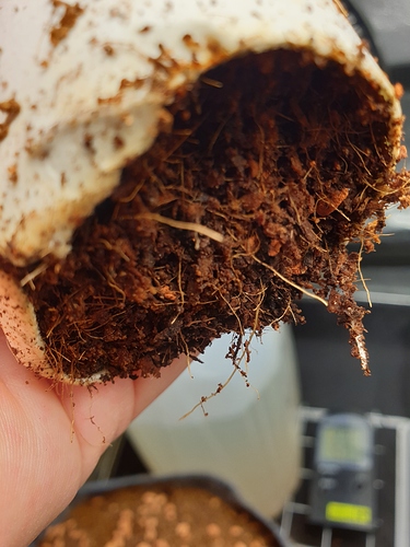 Growreport Bild 11