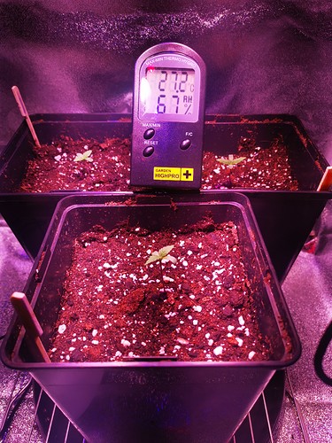 Growreport Bild 1