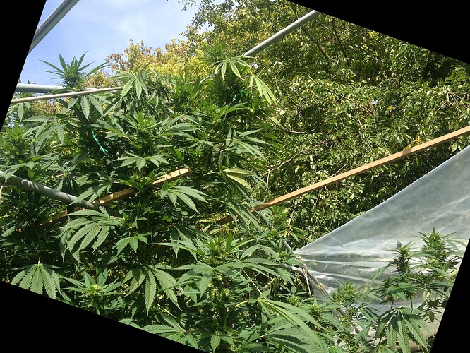 Growreport Bild 22