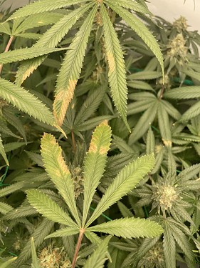 Growreport Bild 12