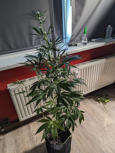 PXL_20230820_125315299