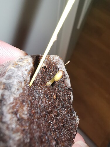 Growreport Bild 93