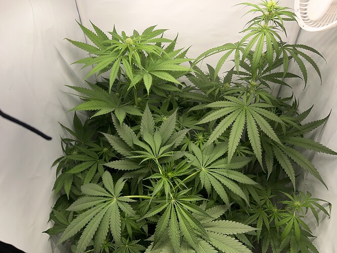 Growreport Bild 2