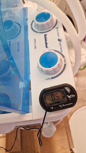 Growreport Bild 6