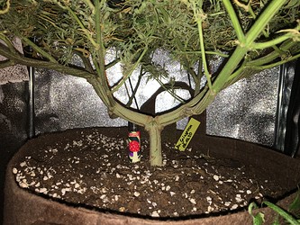 Growreport Bild 13