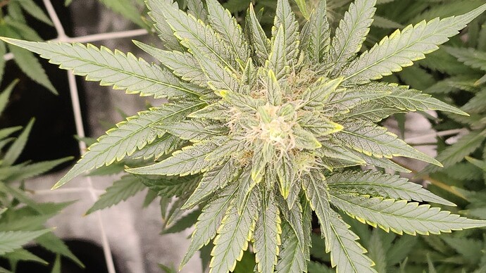 IMG_20220724_215440~2