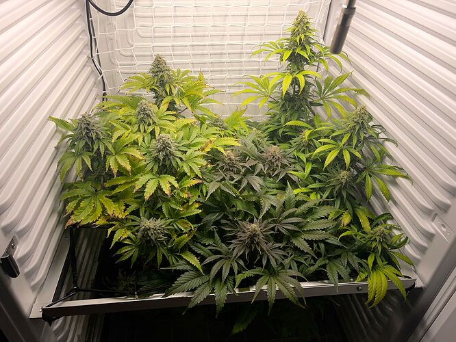 Growreport Bild 1