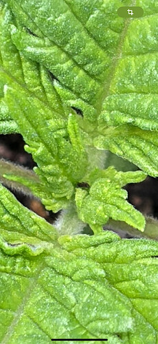 Growreport Bild 20