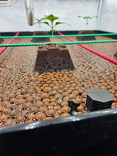 Growreport Bild 27