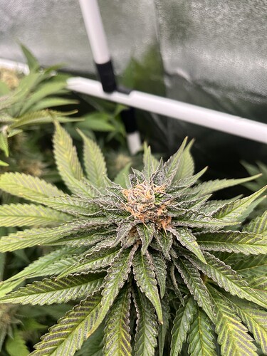 Growreport Bild 14