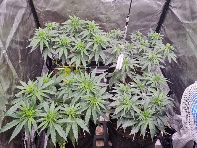 Growreport Bild 11