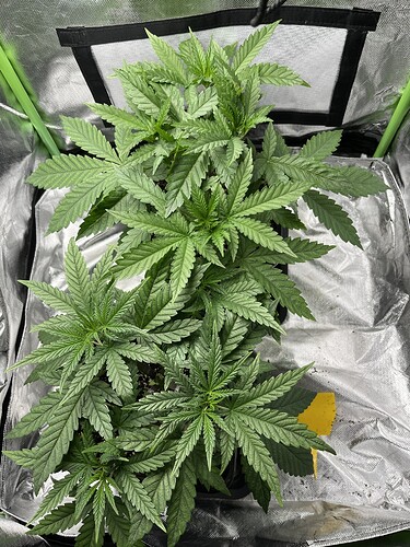 Growreport Bild 8