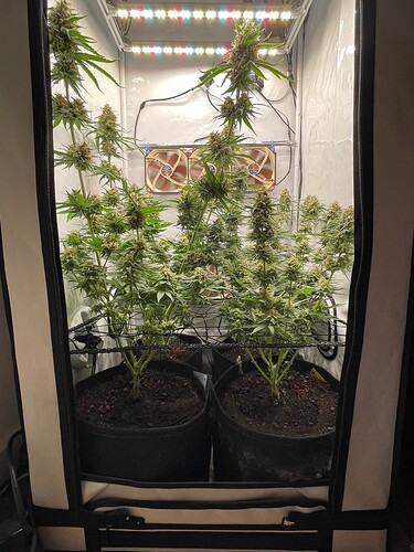 Growreport Bild 8