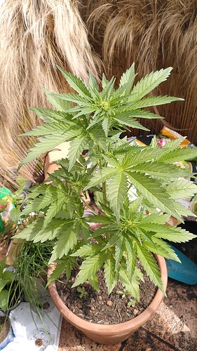 Growreport Bild 2