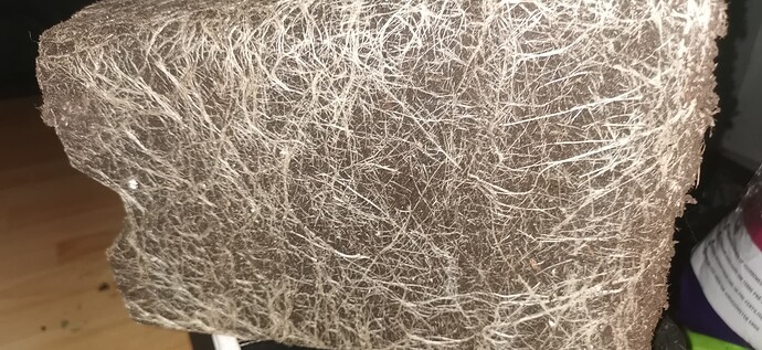 Growreport Bild 3