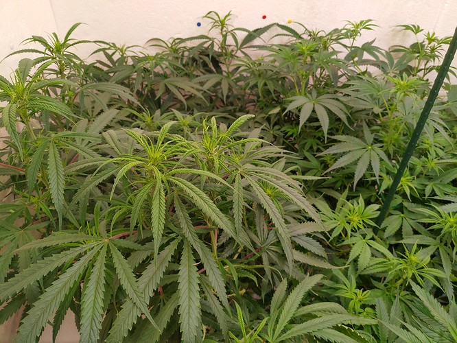 Growreport Bild 14