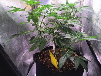 Growreport Bild 14