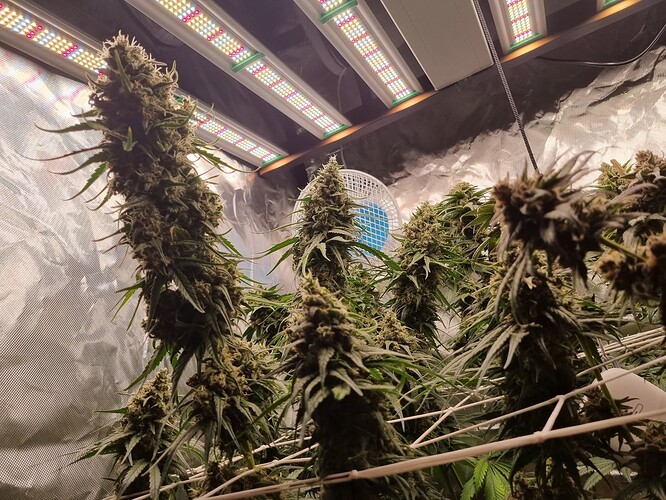 Growreport Bild 23