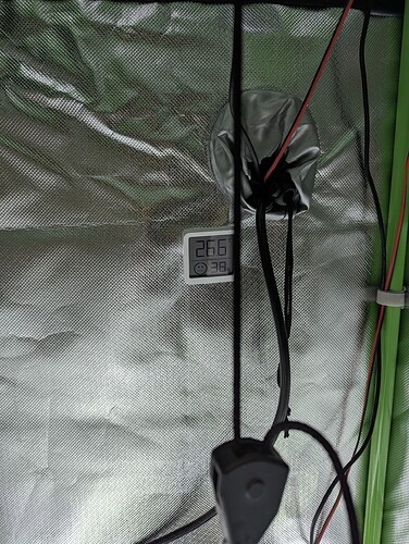 Growreport Bild 7