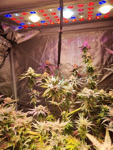 Growreport Bild 20