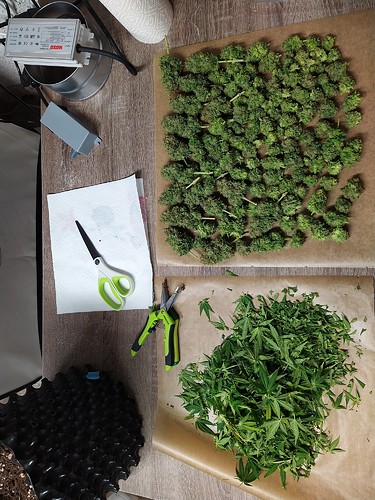 Growreport Bild 7