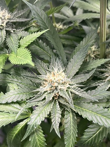 Growreport Bild 13
