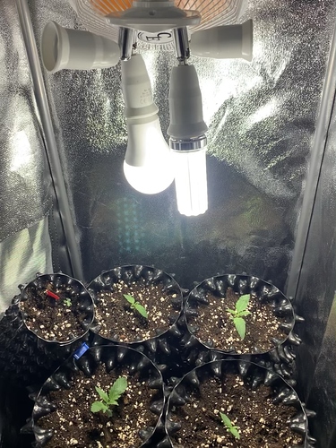 Growreport Bild 4