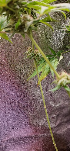 Growreport Bild 4