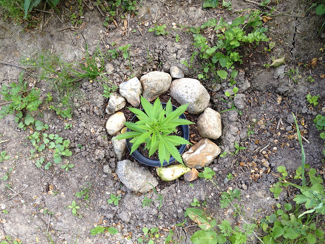 Growreport Bild 11
