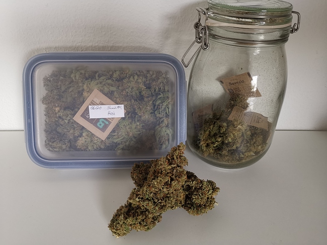 Growreport Bild 1