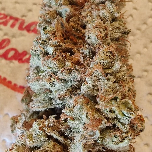 Growreport Bild 56