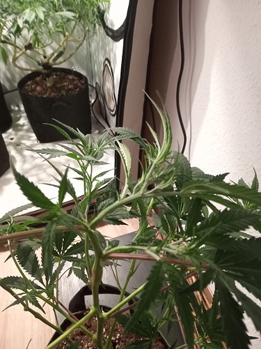 Growreport Bild 13