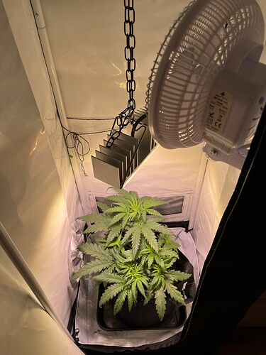 Growreport Bild 7