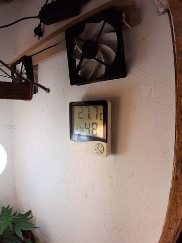 Growreport Bild 3