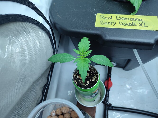 Growreport Bild 47