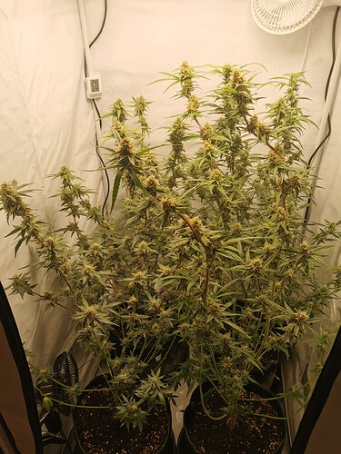 Growreport Bild 10