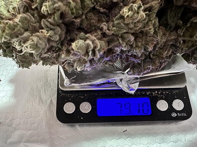 Growreport Bild 9