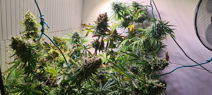 Growreport Bild 14